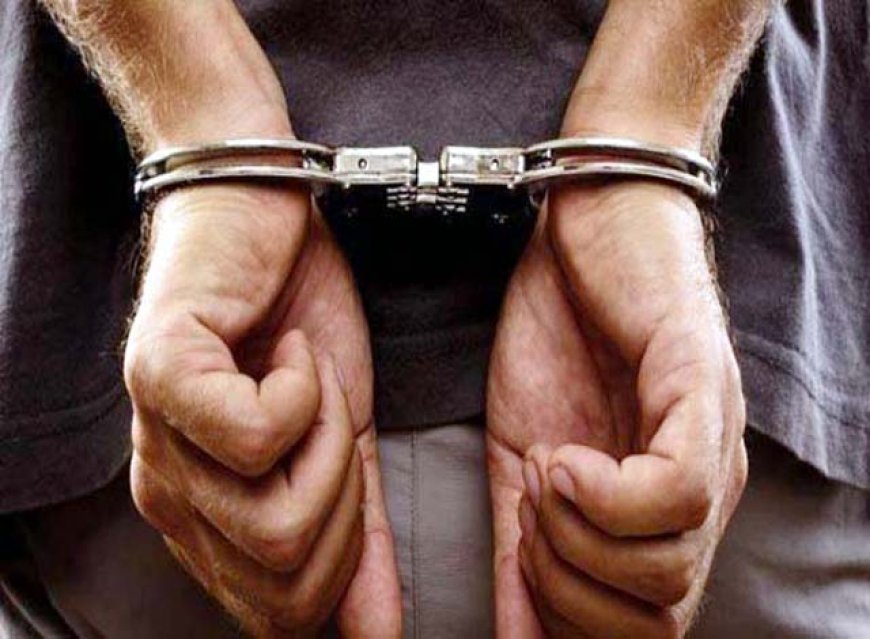 पारोली पुलिस ने मंदिर चोरी का किया खुलासा