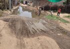 सालेरा की दलित एवं आदिवासी बस्तियों में जलभराव और गंदगी से ग्रामीण परेशान,