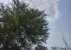 *रखरखाव के दावों के बावजूद नहीं सुधरी बिजली व्यवस्था,