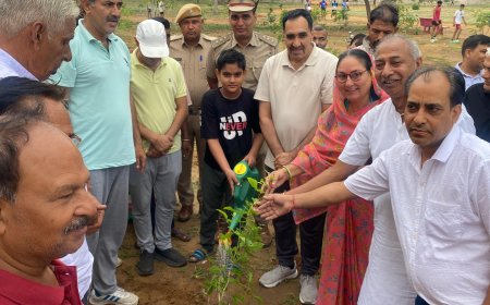 विश्व पर्यावरण दिवस के अवसर पर जिला खेल स्टेडियम में छायादार पेड़ों के पौधे लगाए गए