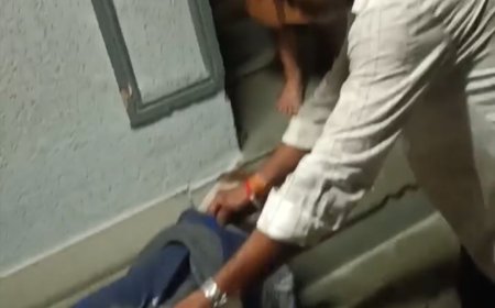अधूरी नाली बनी हादसों का कारण, बारिश में बछड़ा गिरा