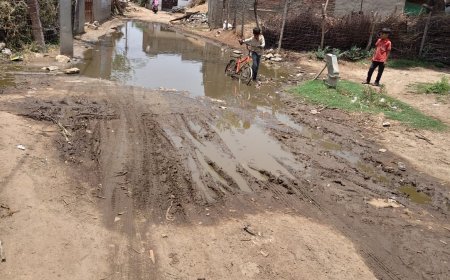 सालेरा की दलित एवं आदिवासी बस्तियों में जलभराव और गंदगी से ग्रामीण परेशान,