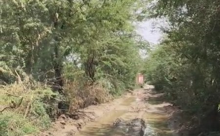 रायपुर से प्रतापपुरा रोड पर हो रहा कीचड़,