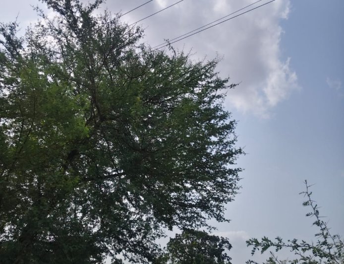 *रखरखाव के दावों के बावजूद नहीं सुधरी बिजली व्यवस्था,