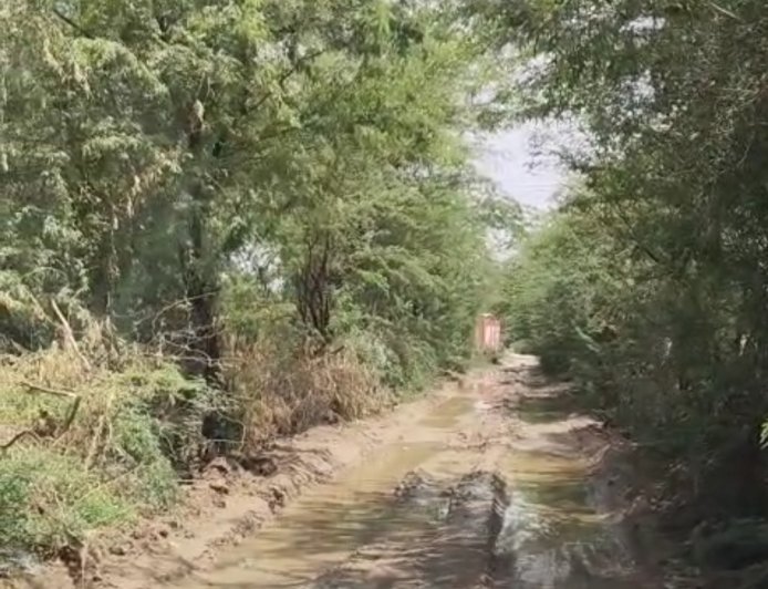 रायपुर से प्रतापपुरा रोड पर हो रहा कीचड़,
