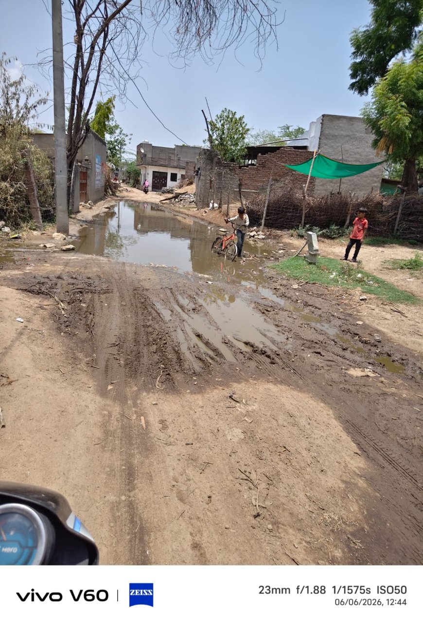 सालेरा की दलित एवं आदिवासी बस्तियों में जलभराव और गंदगी से ग्रामीण परेशान,