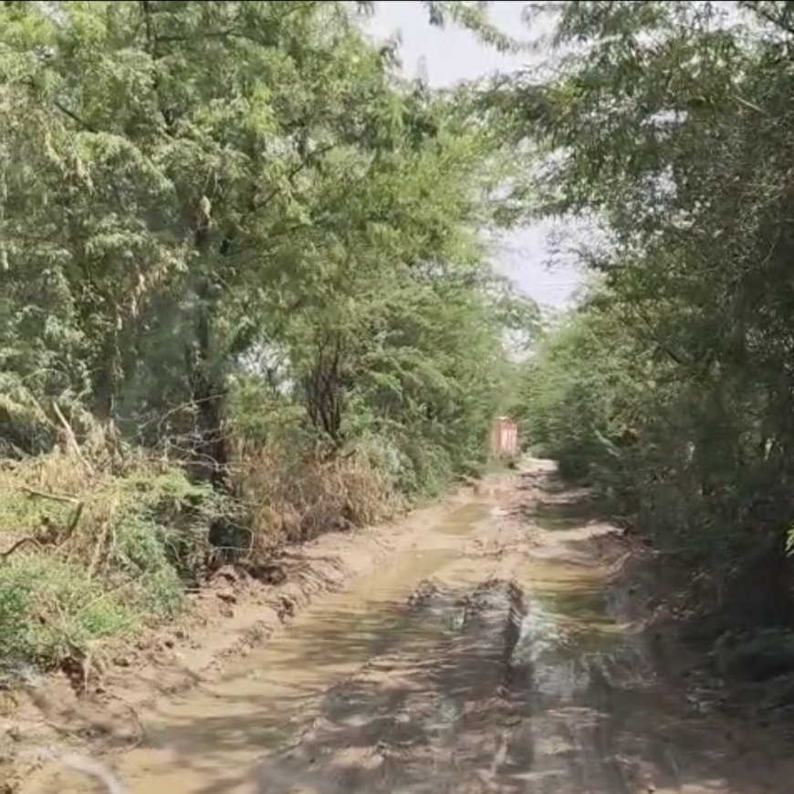 रायपुर से प्रतापपुरा रोड पर हो रहा कीचड़,