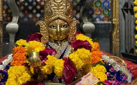 जलजुलनी ग्यारस पर बाड़िया श्याम मंदिर से निकली भव्य शोभायात्रा,