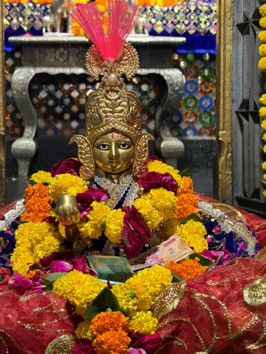 जलजुलनी ग्यारस पर बाड़िया श्याम मंदिर से निकली भव्य शोभायात्रा,